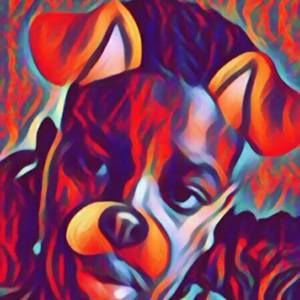 Meet your Posher, Bobby